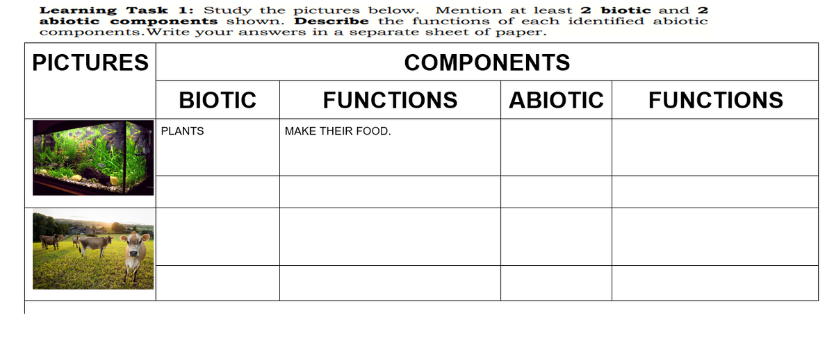 Learning Task 1: Study the pictures below.
abiotic components shown. Describe the functions of each identified abiotic
components.Write your answers in a separate sheet of paper.
Mention at least 2 biotic and 2
PICTURES
COMPONENTS
BIOTIC
FUNCTIONS
ΑΒΙΟΤIC
FUNCTIONS
PLANTS
MAKE THEIR FOOD.
