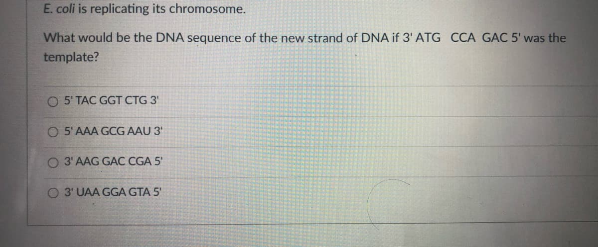 E. coli is replicating its chromosome.
What would be the DNA sequence of the new strand of DNA if 3' ATG CCA GAC 5' was the
template?
O 5'TAC GGT CTG 3'
O 5'AAA GCG AAU 3'
O 3' AAG GAC CGA 5'
O 3' UAA GGA GTA 5'
