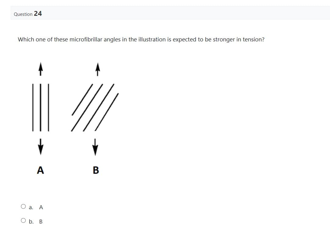 Question 24
Which one of these microfibrillar angles in the illustration is expected to be stronger in tension?
A
O a. A
O b. B
B