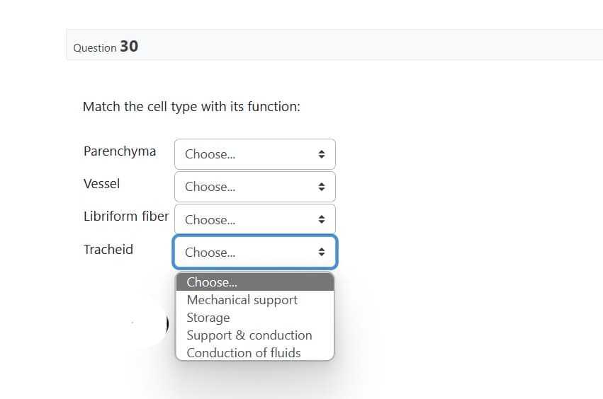 Question 30
Match the cell type with its function:
Parenchyma
Vessel
Choose...
Choose...
Libriform fiber Choose...
Tracheid
Choose...
Choose...
Mechanical support
Storage
Support & conduction
Conduction of fluids
O
O
O