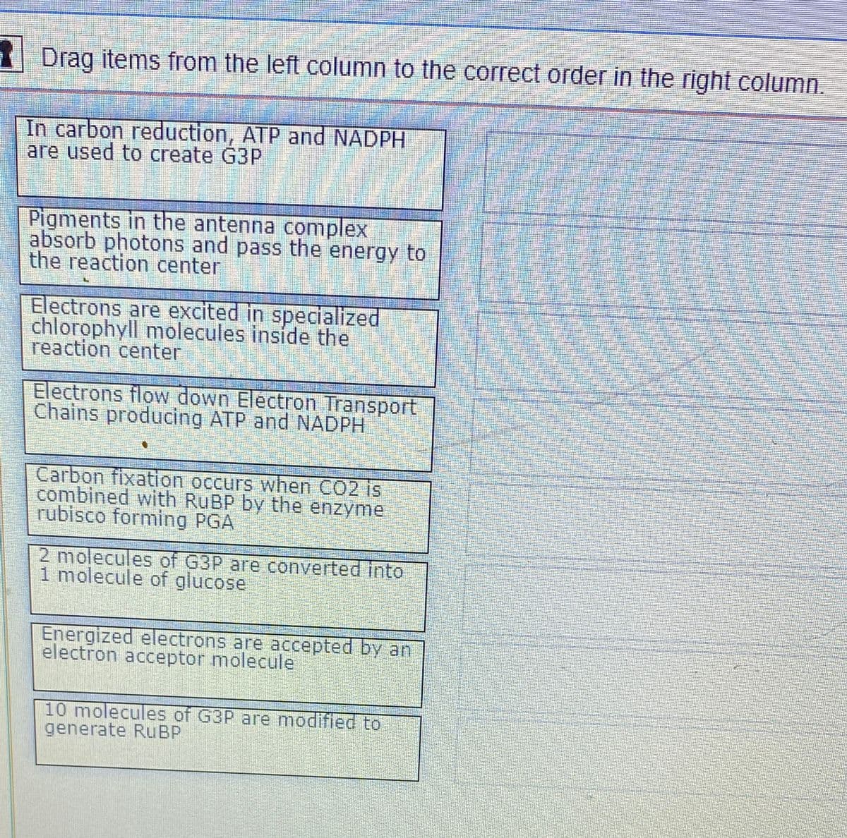 I Drag items from the left column to the correct order in the right column.
In carbon reduction, ATP and NADPH
are used to create G3P
Pigments in the antenna complex
absorb photons and pass the energy to
the reaction center
Electrons are excited in specialized
chlorophyll molecules inside the
reaction center
Electrons flow down Electron Transport
Chains producing ATP and NADPH
Carbon fixation occurs when CO2 is
combined with RUBP by the enzyme
rubisco forming PGA
2 molecules of G3P are converted into
1 molecule of glucose
Energized electrons are accepted by an
electron acceptor molecule
10 molecules of G3P are modified to
generate RUBP
