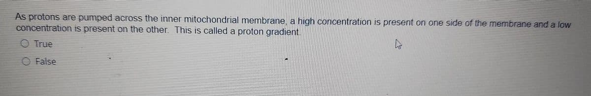 As protons are pumped across the inner mitochondrial membrane, a high concentration is present on one side of the membrane and a low
concentration is present on the other. This is called a proton gradient.
O True
False