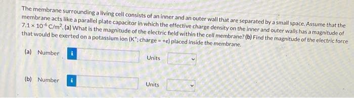 The membrane surrounding a living cell consists of an inner and an outer wall that are separated by a small space. Assume that the
membrane acts like a parallel plate capacitor in which the effective charge density on the inner and outer walls has a magnitude of
7.1 x 106C/m². (a) What is the magnitude of the electric field within the cell membrane? (b) Find the magnitude of the electric force
that would be exerted on a potassium ion (K*; charge +e) placed inside the membrane.
(a) Number
(b) Number
Units
Units