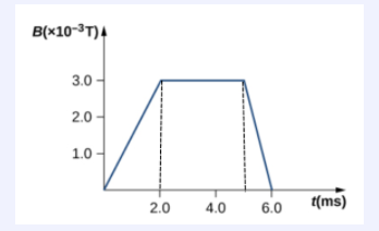 B(x10-3T)4
3.0 -
2.0 -
1.0
t(ms)
2.0
4.0
6.0
