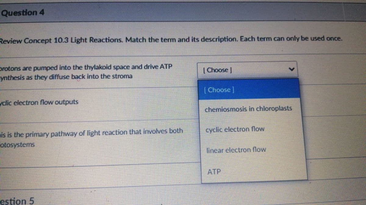 Question 4
Review Concept 10.3 Light Reactions. Match the term and its description. Each term can only be used once.
protons are pumped into the thylakoid space and drive ATP
ynthesis as they diffuse back into the stroma
|Choose J
[Choose]
yclic electron flow outputs
chemiosmosis in chloroplasts
is is the primary pathway of light reaction that involves both
otosystems
cyclic electron flow
linear electron flow
ATP
estion 5
