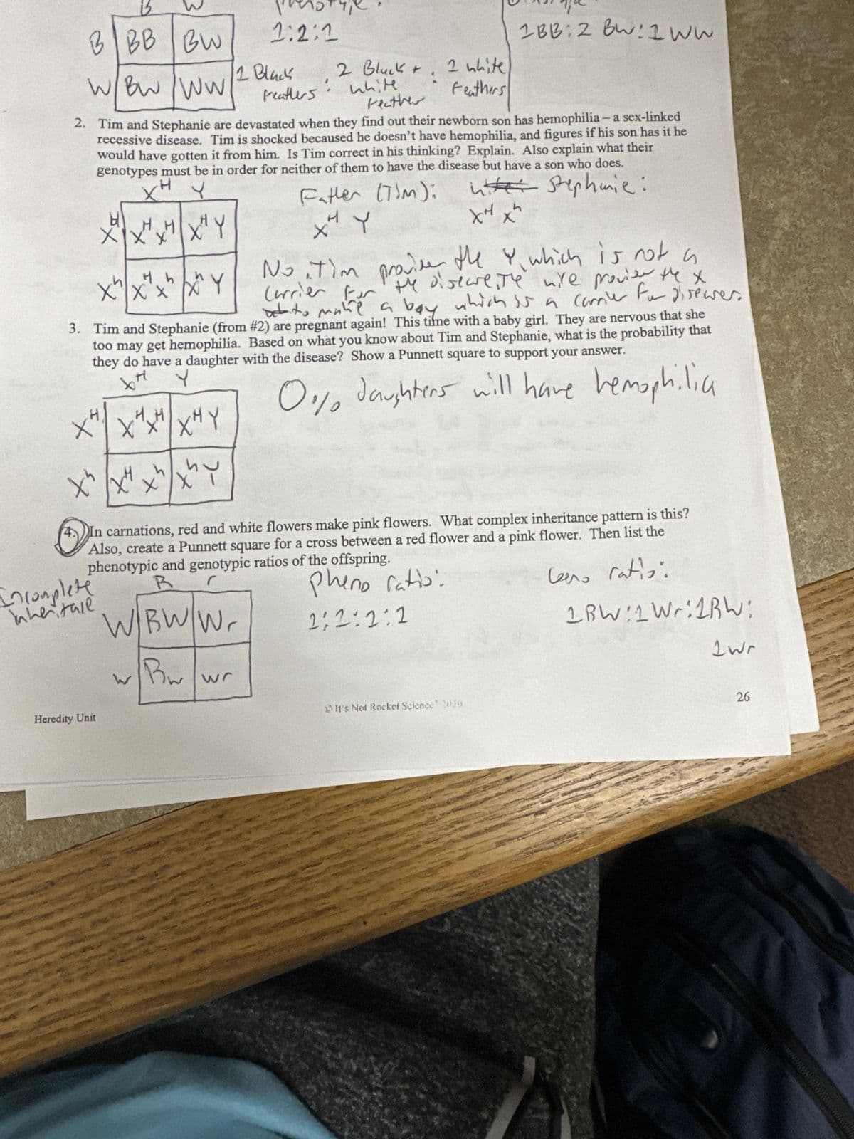 BBB BW
prenotype
1:2:1
1BB: 2 BW: 1 WW
W/BW
W/BW WW
1 Black
2 Bluck +
I white
:
Feathers
white
Feather
Feathers
2. Tim and Stephanie are devastated when they find out their newborn son has hemophilia - a sex-linked
recessive disease. Tim is shocked becaused he doesn't have hemophilia, and figures if his son has it he
would have gotten it from him. Is Tim correct in his thinking? Explain. Also explain what their
genotypes must be in order for neither of them to have the disease but have a son who does.
H
Y
H
H
X X X X Y
th
H h
X
XXX" x^"Y
3. Tim and Stephanie (from
+
Father (Tim):
+s
Y
No. Tim
itter Stephanie:
хн
xHx"
+s
pave the which is not a
Carrier For the discrete
nire provide the x
warto make a bay which is a compile for diseases.
#2) are pregnant again! This time with a baby girl. They are nervous that she
too may get hemophilia. Based on what you know about Tim and Stephanie, what is the probability that
they do have a daughter with the disease? Show a Punnett square to support your answer.
XM
хнянхну
0% daughters will have hemophilia
ts
X" xH x
XX
XY
4.
Incomplete
In her tale
In carnations, red and white flowers make pink flowers. What complex inheritance pattern is this?
Also, create a Punnett square for a cross between a red flower and a pink flower. Then list the
phenotypic and genotypic ratios of the offspring.
R
WBW Wr
w
Bw
wr
Pheno ratio:
2:2:2:2
Leno ratio:
1BW: 1 Wr: 1BW:
1wr
Heredity Unit
It's Not Rocket Science 2020
26