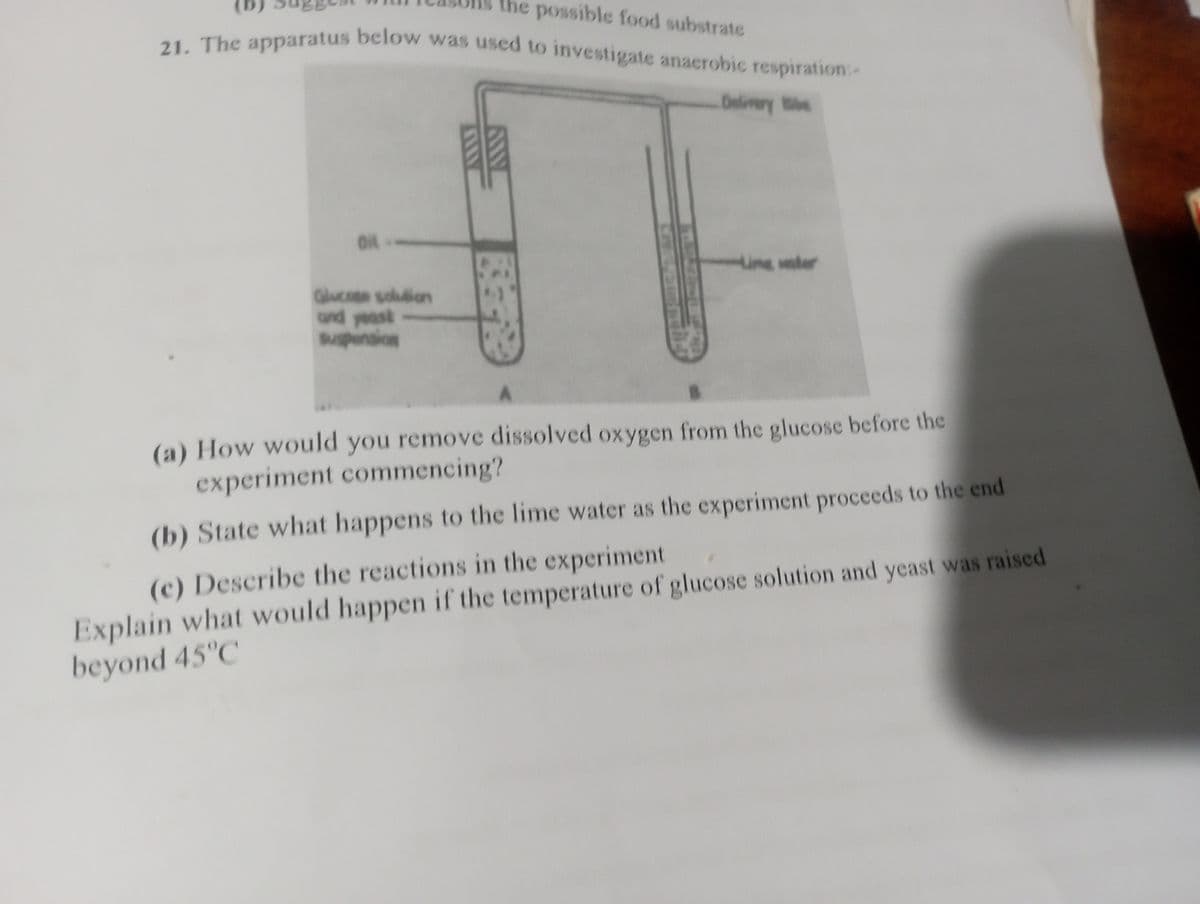 ne possible food substrate
21. The apparatus below was used to investigate anaerobic respiration:-
Delivery be
Oil
Glucose solution
and yeast
Suspension
LARGE
Line vater
A
(a) How would you remove dissolved oxygen from the glucose before the
experiment commencing?
(b) State what happens to the lime water as the experiment proceeds to the end
(c) Describe the reactions in the experiment
Explain what would happen if the temperature of glucose solution and yeast was raised
beyond 45°C