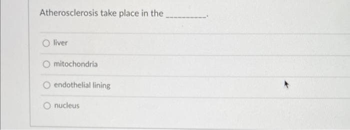 Atherosclerosis take place in the
O liver
mitochondria
O endothelial lining
O nucleus
