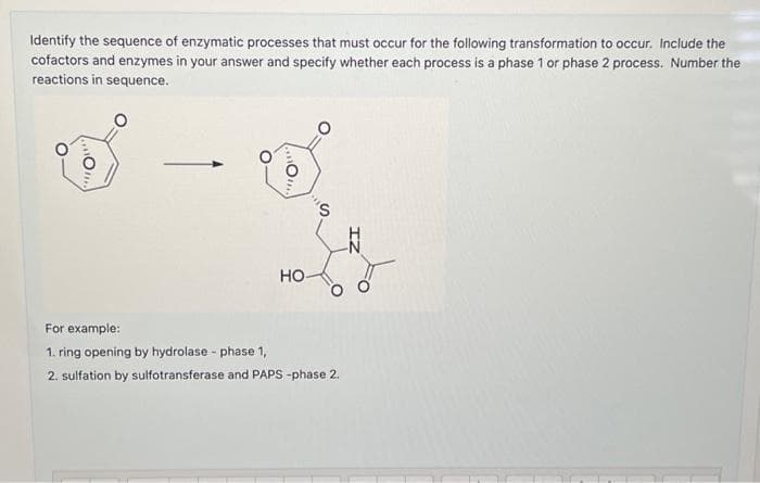 Identify the sequence of enzymatic processes that must occur for the following transformation to occur. Include the
cofactors and enzymes in your answer and specify whether each process is a phase 1 or phase 2 process. Number the
reactions in sequence.
—
HO-
S
For example:
1. ring opening by hydrolase - phase 1,
2. sulfation by sulfotransferase and PAPS -phase 2.