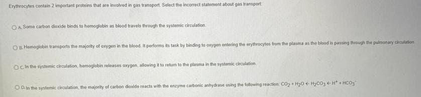 Erythrocytes contain 2 important proteins that are involved in gas transport. Select the incorrect statement about gas transport
OA Some carbon dioxide binds to hemogłobin as blood travels through the systemic circulation.
O B. Hemoglabin transports the majority of oxygen in the blood. It perfoms its task by binding to oxygen entering the erythrocytes from the plasma as the blood is passing through the pulmonary circulation
Oc in the systemic circulation, hemoglobin releases oxygan, allowing it to retum to the plasma in the systemic circulation
OD. In the systemic circulation. the majority of carbon dioxide reacts with the enzyme carbonic anhydrase using the following reaction C02+ H20 € H2C03 e H + HCO3
