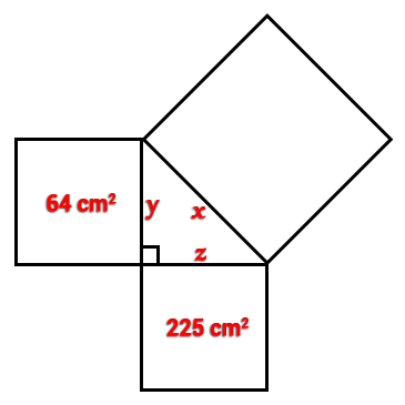 64 cm² y x
yx
Z
225 cm²