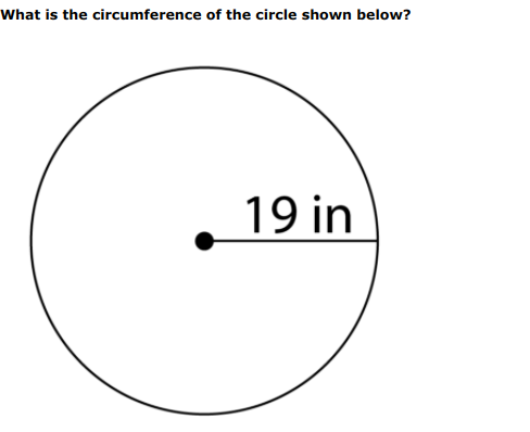 What is the circumference of the circle shown below?
19 in

