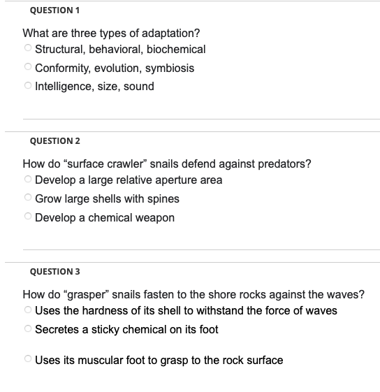 QUESTION 1
What are three types of adaptation?
Structural, behavioral, biochemical
O Conformity, evolution, symbiosis
Intelligence, size, sound
QUESTION 2
How do "surface crawler" snails defend against predators?
O Develop a large relative aperture area
Grow large shells with spines
O Develop a chemical weapon
QUESTION 3
How do "grasper" snails fasten to the shore rocks against the waves?
Uses the hardness of its shell to withstand the force of waves
Secretes a sticky chemical on its foot
Uses its muscular foot to grasp to the rock surface