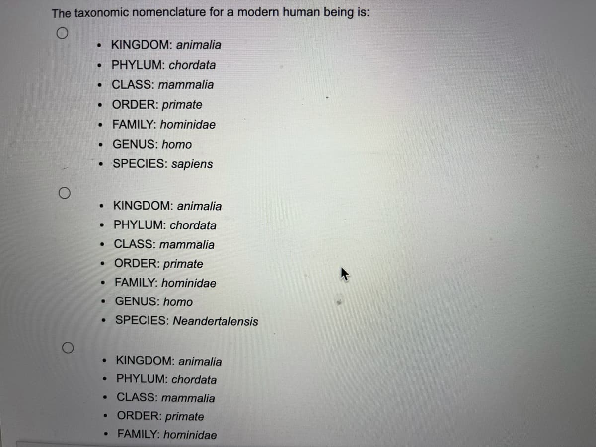 The taxonomic nomenclature for a modern human being is:
• KINGDOM: animalia
• PHYLUM: chordata
• CLASS: mammalia
• ORDER: primate
• FAMILY: hominidae
GENUS: homo
SPECIES: sapiens
KINGDOM: animalia
PHYLUM: chordata
• CLASS: mammalia
• ORDER: primate
FAMILY: hominidae
• GENUS: homo
SPECIES: Neandertalensis
KINGDOM: animalia
PHYLUM: chordata
• CLASS: mammalia
• ORDER: primate
• FAMILY: hominidae
