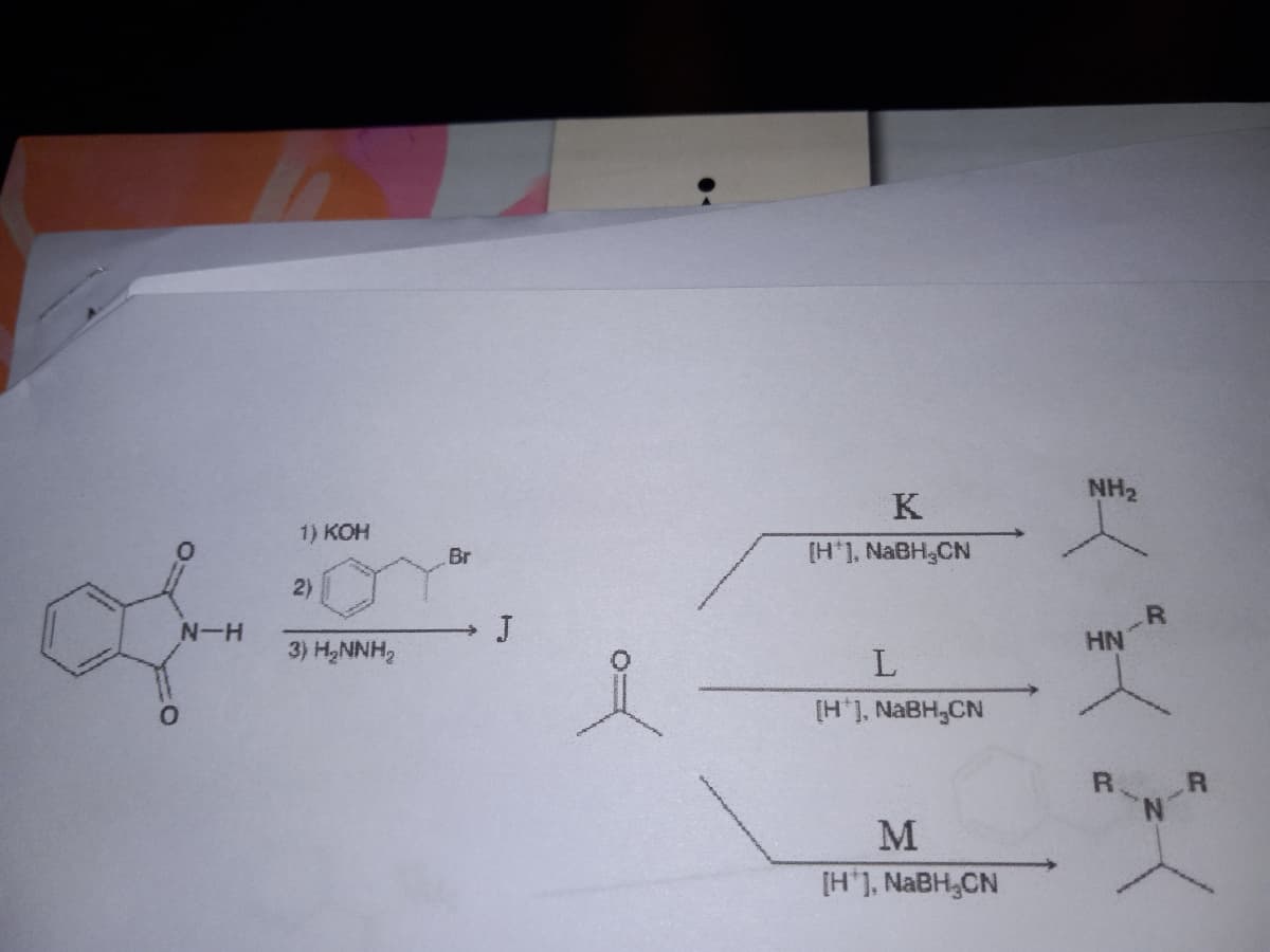 of
N-H
1) KOH
2)
3) H₂NNH₂
Br
→ J
K
[H*], NaBH₂CN
L
[H*], NaBH₂CN
M
[H], NaBH₂CN
NH₂
HN
R R