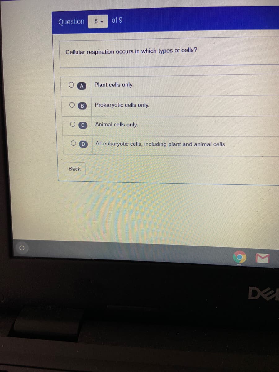 Question
of 9
Cellular respiration occurs in which types of cells?
A
Plant cells only.
B
Prokaryotic cells only.
Animal cells only.
D
All eukaryotic cells, including plant and animal cells
Back
DEE
