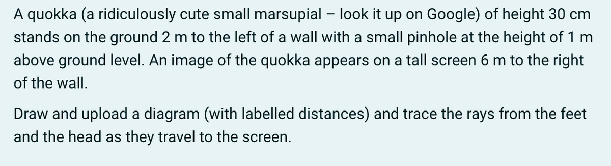 A quokka (a ridiculously cute small marsupial – look it up on Google) of height 30 cm
stands on the ground 2 m to the left of a wall with a small pinhole at the height of 1 m
above ground level. An image of the quokka appears on a tall screen 6 m to the right
of the wall.
Draw and upload a diagram (with labelled distances) and trace the rays from the feet
and the head as they travel to the screen.
