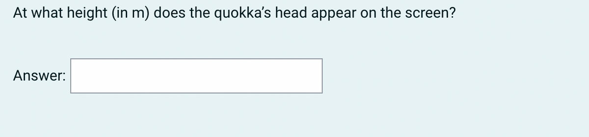 At what height (in m) does the quokka's head appear on the screen?
Answer:
