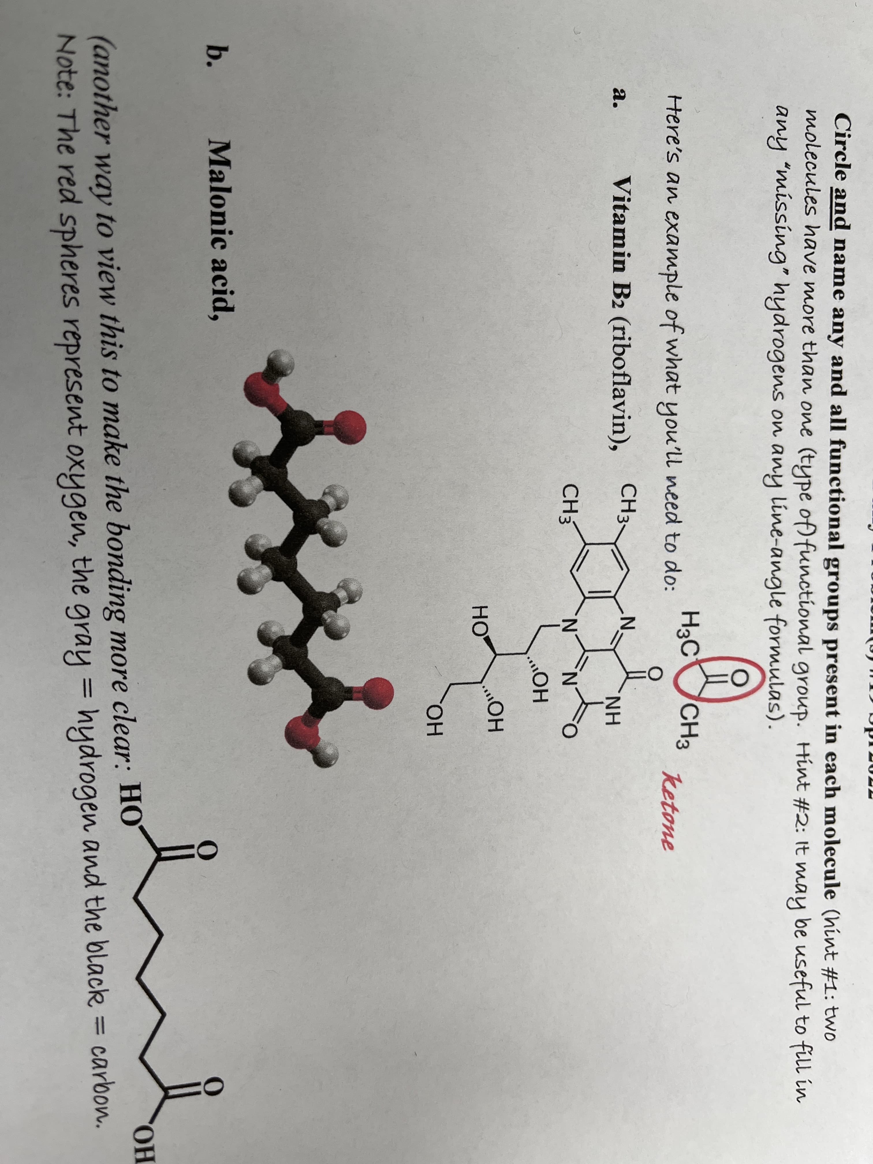 Circle and name any and all functional groups present in each molecule (hint #1: two
molecules have more than one (type of) functional group. Hint #2: It may be useful to fill in
any "missing" hydrogens on any line-angle formulas).
CH3
H3C
Here's an example of what you'll need to do:
ketone
Vitamin B2 (riboflavin),
CH3~
а.
H.
CH3
N.
HOH
HO
HO.
b.
Malonic acid,
(another way to view this to make the bonding more clear: HO
Note: The red spheres represent oxygen, the gray = hydrogen and the black = carbon.
%3D
