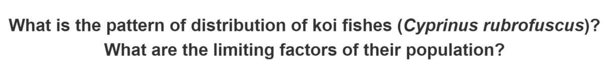 What is the pattern of distribution of koi fishes (Cyprinus rubrofuscus)?
What are the limiting factors of their population?