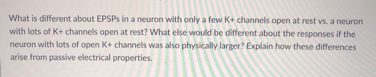 What is different about EPSPS in a neuron with only a few K+ channels open at rest vs. a neuron
with lots of K+ channels open at rest? What else would be different about the responses if the
neuron with lots of open K+ channels was also physically larger? Explain how these differences
arişe from passive electrical properties.
