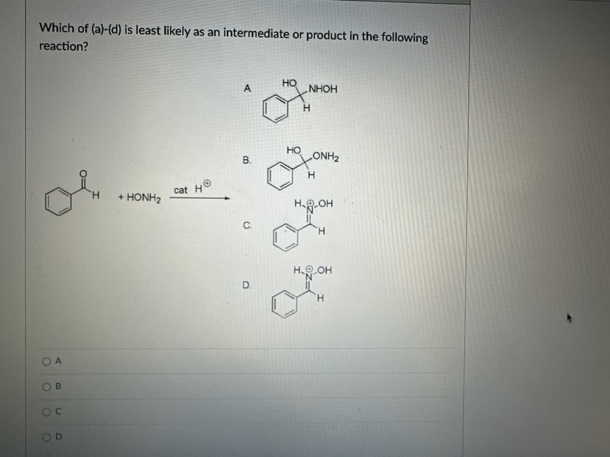 Which of (a)-(d) is least likely as an intermediate or product in the following
reaction?
HO
A
NHOH
H
HO
B.
CONH2
H
Η
+ HONH2
cat H
OA
OB
OC
OD
O
H.O-OH
Η
D.
HOH
Η