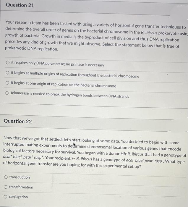 Question 21
Your research team has been tasked with using a variety of horizontal gene transfer techniques to
determine the overall order of genes on the bacterial chromosome in the R. ibiscus prokaryote usin,
growth of bacteria. Growth in media is the byproduct of cell division and thus DNA replication
precedes any kind of growth that we might observe. Select the statement below that is true of
prokaryotic DNA replication.
O it requires only DNA polymerase; no primase is necessary
O it begins at multiple origins of replication throughout the bacterial chromosome
O it begins at one origin of replication on the bacterial chromosome
telomerase is needed to break the hydrogen bonds between DNA strands
Question 22
Now that we've got that settled; let's start looking at some data. You decided to begin with some
interrupted mating experiments to determine chromosomal location of various genes that encode
biological factors necessary for survival. You began with a donor Hfr R. ibiscus that had a genotype of
acai* blue" pear* rasp*. Your recipient F- R. ibiscus has a genotype of acai blue pear rasp". What type
of horizontal gene transfer are you hoping for with this experimental set up?
O transduction
O transformation
O conjugation
