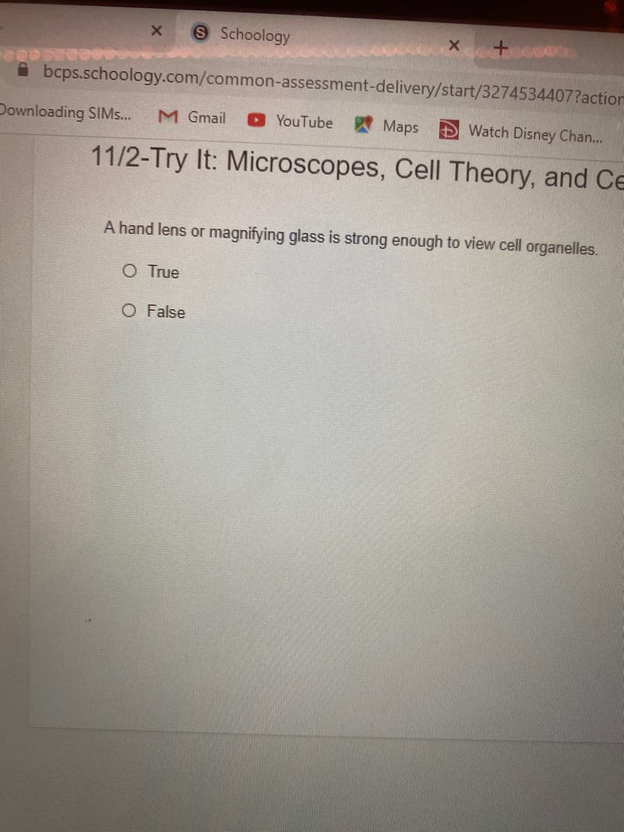 S Schoology
A bcps.schoology.com/common-assessment-delivery/start/3274534407?action
Downloading SIM..
M Gmail
O YouTube Maps
DWatch Disney Chan...
11/2-Try It: Microscopes, Cell Theory, and Ce
A hand lens or magnifying glass is strong enough to view cell organelles.
O True
O False
