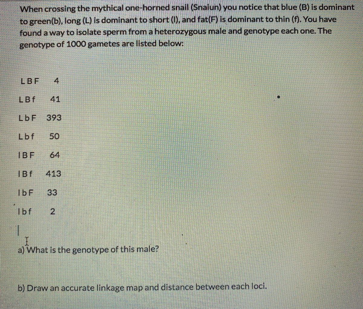 When crossing the mythical one-horned snail (Snaiun) you notice that blue (B) is dominant
to green(b), long (L) is dominant to short (I), and fat(F) is dominant to thin (f). You have
found a way to isolate sperm from a heterozygous male and genotype each one. The
genotype of 1000 gametes are listed below:
LBF
LBf
41
LbF 393
Lbf
50
IBF
64
IBf
413
33
Ibf
a) What is the genotype of this male?
b) Draw an accurate linkage map and distance between each loci.
4.
