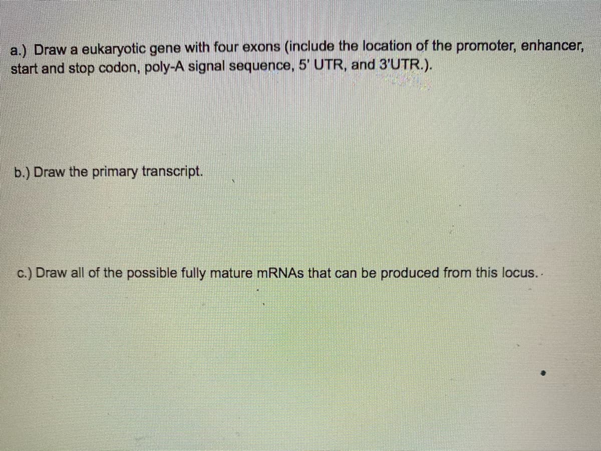 a.) Draw a eukaryotic gene with four exons (include the location of the promoter, enhancer,
start and stop codon, poly-A signal sequence, 5' UTR, and 3'UTR.).
b.) Draw the primary transcript.
c.) Draw all of the possible fully mature mRNAs that can be produced from this locus.
