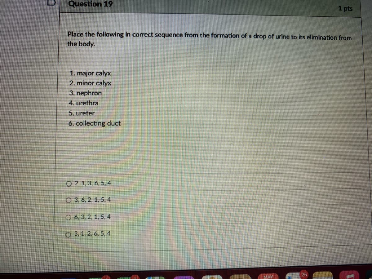 Question 19
1 pts
Place the following in correct sequence from the formation of a drop of urine to its elimination from
the body.
1. major calyx
2. minor calyx
3. nephron
4. urethra
5. ureter
6. collecting duct
O 2,1, 3, 6, 5, 4
O 3,6, 2, 1, 5, 4
O 6.3,2, 1, 5, 4
O 3, 1, 2, 6, 5, 4
MAY
