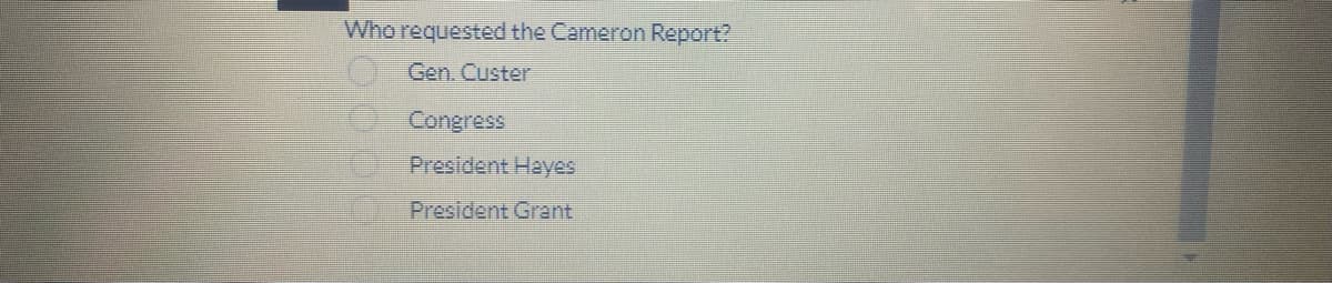 Who requested the Cameron Report?
Gen. Custer
Congress
President Hayes
President Grant