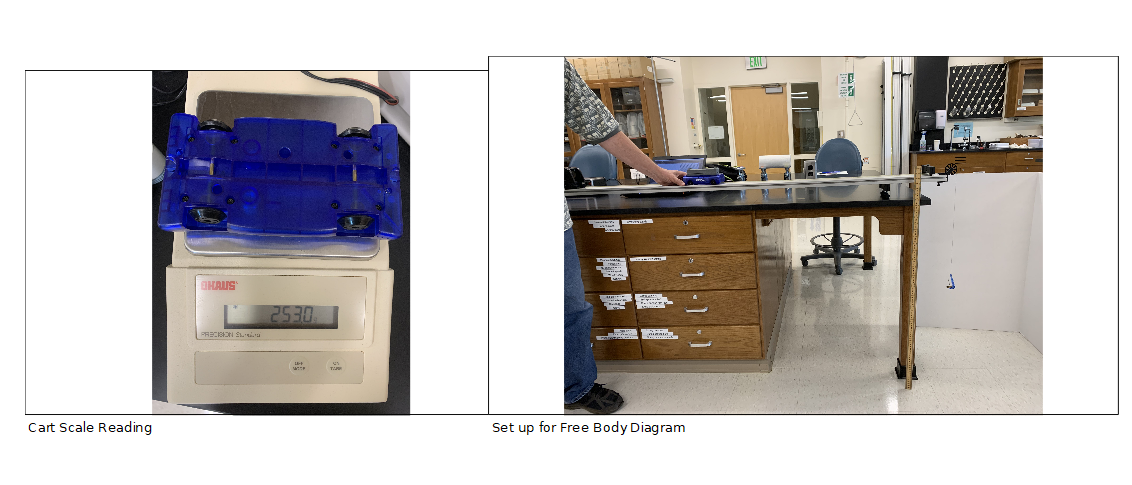 EM
HAUS
2530
Cart Scale Reading
Set up for Free Body Diagram
