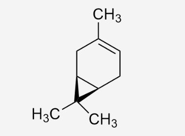 This image depicts the structural formula of a hydrocarbon compound, specifically a cyclic hydrocarbon with a six-membered ring and double bond characteristics.

**Detailed Explanation:**

1. **Six-Membered Ring:** The core structure of the compound is a hexagon, representing a six-membered carbon ring, which is typical of cyclic hydrocarbons.

2. **Double Bond:** Within the hexagon, there is a double line between two of the carbon atoms, indicating a double bond. This represents the presence of a degree of unsaturation in the ring.

3. **Attached Groups:**
   - **Top of the Ring:** Attached to the top carbon of the ring is a methyl group, denoted as CH₃.
   - **Bottom Left of the Ring:** Attached to another carbon atom in the ring is another methyl group (CH₃).
   - **Bottom Left of the Ring (Wedge and Dash Representation):** This carbon also has a wedge and dash notation associated with it:
     - **Wedge Bond:** This indicates that the group is coming out of the plane towards the viewer.
     - **Dash Bond:** This indicates that the group is going into the plane away from the viewer. Both these bonds represent the spatial orientation of the methyl groups (CH₃).

This structural formula is characteristic of certain cyclic hydrocarbons and is useful in understanding their chemical properties, reactivity, and spatial configuration.