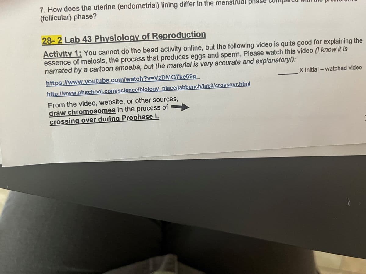 7. How does the uterine (endometrial) lining differ in the menstrual phasU
(follicular) phase?
28-2 Lab 43 Physiology of Reproduction
Activity 1: You cannot do the bead activity online, but the following video is quite good for explaining the
essence of meiosis, the process that produces eggs and sperm. Please watch this video (I know it is
narrated by a cartoon amoeba, but the material is very accurate and explanatory!):
https://www.youtube.com/watch?V3VZDMG7KE699_
X Initial - watched video
http://www.phschool.com/science/biology place/labbench/lab3/crossovr.html
From the video, website, or other sources,
draw chromosomes in the process of
crossing over during Prophase I.
