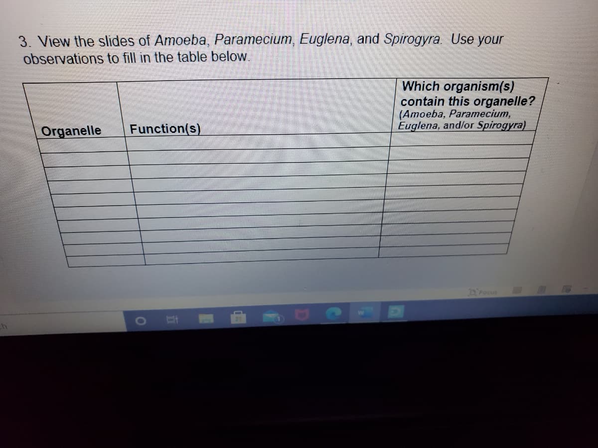 3. View the slides of Amoeba, Paramecium, Euglena, and Spirogyra Use your
observations to fill in the table below.
Which organism(s)
contain this organelle?
(Amoeba, Paramecium,
Euglena, and/or Spirogyra)
Organelle
Function(s)
DFocus
