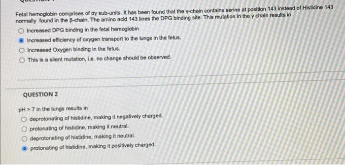 Fetal hemoglobin comprises of ay sub-units. It has been found that the y-chain contains serine at position 143 instead of Histidine 143
normally found in the B-chain. The amino acid 143 lines the DPG binding site. This mutation in the y chain results in
O Increased DPG binding in the fetal hemoglobin
Increased efficiency of oxygen transport to the lungs in the fetus.
O Increased Oxygen binding in the fetus.
O This is a silent mutation, i.e. no change should be observed.
QUESTION 2
pH>7 in the lungs results in
O deprotonating of histidine, making it negatively charged.
O protonating of histidine, making it neutral.
O deprotonating of histidine, making it neutral.
protonating of histidine, making it positively charged.