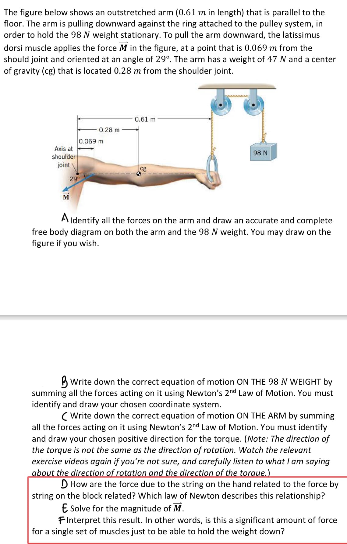 The figure below shows an outstretched arm (0.61 m in length) that is parallel to the
floor. The arm is pulling downward against the ring attached to the pulley system, in
order to hold the 98 N weight stationary. To pull the arm downward, the latissimus
dorsi muscle applies the force M in the figure, at a point that is 0.069 m from the
should joint and oriented at an angle of 29°. The arm has a weight of 47 N and a center
of gravity (cg) that is located 0.28 m from the shoulder joint.
0.61 m
0.28 m
0.069 m
Axis at
98 N
shoulder
joint
cg
29
M
A ldentify all the forces on the arm and draw an accurate and complete
free body diagram on both the arm and the 98 N weight. You may draw on the
figure if you wish.
B Write down the correct equation of motion ON THE 98 N WEIGHT by
summing all the forces acting on it using Newton's 2nd Law of Motion. You must
identify and draw your chosen coordinate system.
( Write down the correct equation of motion ON THE ARM by summing
all the forces acting on it using Newton's 2nd Law of Motion. You must identify
and draw your chosen positive direction for the torque. (Note: The direction of
the torque is not the same as the direction of rotation. Watch the relevant
exercise videos again if you're not sure, and carefully listen to what I am saying
about the direction of rotation and the direction of the torque.)
D How are the force due to the string on the hand related to the force by
string on the block related? Which law of Newton describes this relationship?
E Solve for the magnitude of M.
FInterpret this result. In other words, is this a significant amount of force
for a single set of muscles just to be able to hold the weight down?
