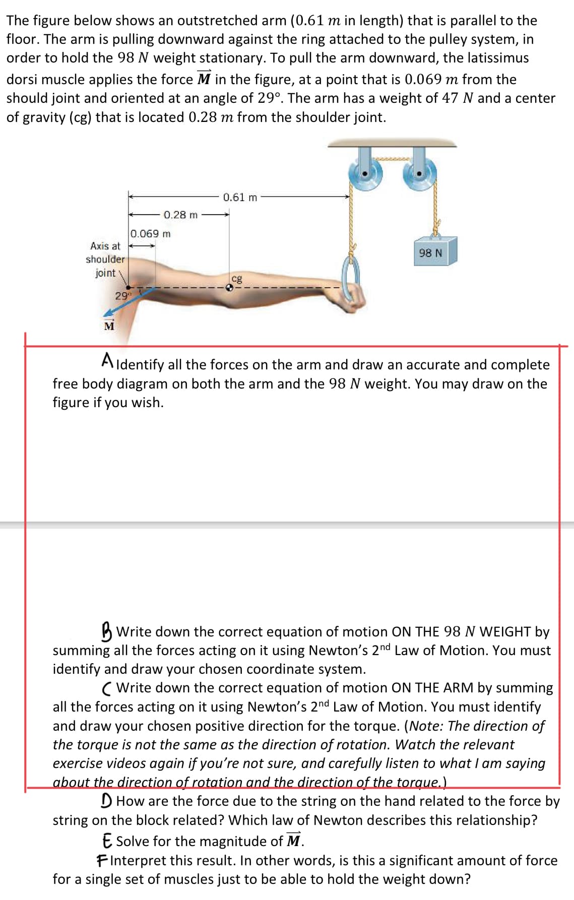 The figure below shows an outstretched arm (0.61 m in length) that is parallel to the
floor. The arm is pulling downward against the ring attached to the pulley system, in
order to hold the 98 N weight stationary. To pull the arm downward, the latissimus
dorsi muscle applies the force M in the figure, at a point that is 0.069 m from the
should joint and oriented at an angle of 29°. The arm has a weight of 47 N and a center
of gravity (cg) that is located 0.28 m from the shoulder joint.
0.61 m
0.28 m
0.069 m
Axis at
98 N
shoulder
joint
cg
29
M
Aldentify all the forces on the arm and draw an accurate and complete
free body diagram on both the arm and the 98 N weight. You may draw on the
figure if you wish.
B Write down the correct equation of motion ON THE 98 N WEIGHT by
summing all the forces acting on it using Newton's 2nd Law of Motion. You must
identify and draw your chosen coordinate system.
( Write down the correct equation of motion ON THE ARM by summing
all the forces acting on it using Newton's 2nd Law of Motion. You must identify
and draw your chosen positive direction for the torque. (Note: The direction of
the torque is not the same as the direction of rotation. Watch the relevant
exercise videos again if you're not sure, and carefully listen to what I am saying
about the direction of rotation and the direction of the torque.)
D How are the force due to the string on the hand related to the force by
string on the block related? Which law of Newton describes this relationship?
E Solve for the magnitude of M.
FInterpret this result. In other words, is this a significant amount of force
for a single set of muscles just to be able to hold the weight down?
