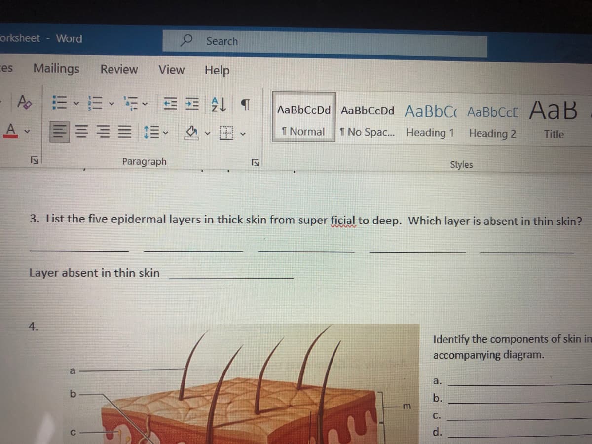 orksheet - Word
O Search
ces
Mailings
Review
View
Help
As 三、三、m、 E T
AaBbCcDd AaBbCcDd AaBbC AABBCCC AaB
A -
1 Normal
1 No Spac. Heading 1
Heading 2
Title
Paragraph
Styles
3. List the five epidermal layers in thick skin from super ficial to deep. Which layer is absent in thin skin?
Layer absent in thin skin
4.
Identify the components of skin in
accompanying diagram.
a
a.
b.
b.
С.
d.
