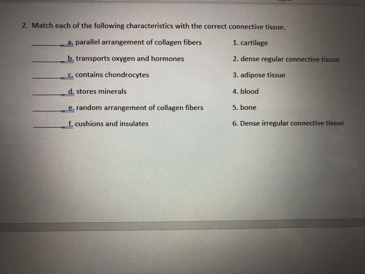 2. Match each of the following characteristics with the correct connective tissue.
a. parallel arrangement of collagen fibers
1. cartilage
b. transports oxygen and hormones
2. dense regular connective tissue
C. contains chondrocytes
3. adipose tissue
d. stores minerals
4. blood
e. random arrangement of collagen fibers
5. bone
f. cushions and insulates
6. Dense irregular connective tissue
