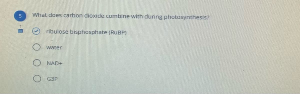 What does carbon dioxide combine with during photosynthesis?
ribulose bisphosphate (RUBP)
water
NAD+
G3P
