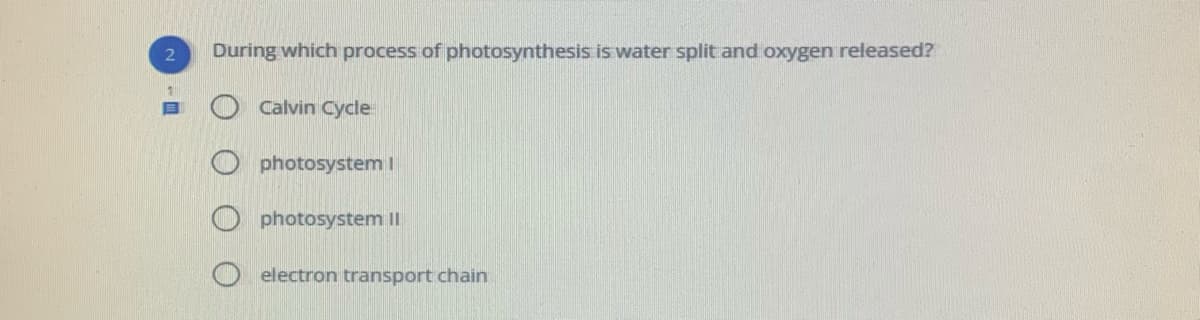 During which process of photosynthesis is water split and oxygen released?
Calvin Cycle
O photosystem I
photosystem II
electron transport chain
