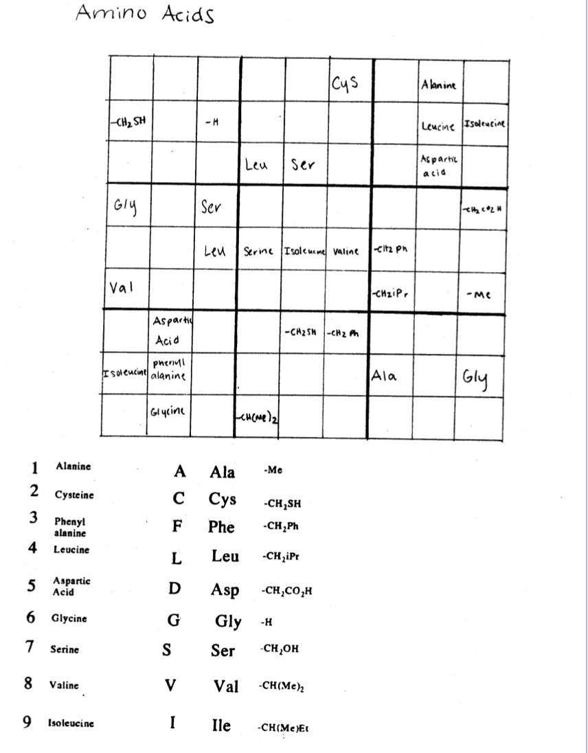 Amino Acids
Cys
A lanine
CH2 SH
Leucine Isoleucine
Leu
Ser
As partil
acia
Gly
Sev
Leu
Serine Isolcucne valine
-citz pn
Val
CHziPr
-Me
Asparti
-CH2 SH -CH2 Ph
Acid
pnerinl
Esoleucine alanine
Gly
Ala
Glycine
1
Alanine
А
Ala
-Me
2 Cysteine
C
Сys
-CH,SH
3
Phenyl
alanine
F
Phe
-CH,Ph
4
Leucine
L
Leu
-CH,iPr
5 Aвpartic
Acid
D
Asp
-CH,CO,H
Glycine
Gly
-H
Serine
Ser
-CH¿OH
8
Valine
V
Val
-CH(Me);
9.
Isoleucine
Ile
-CH(Me)Et
