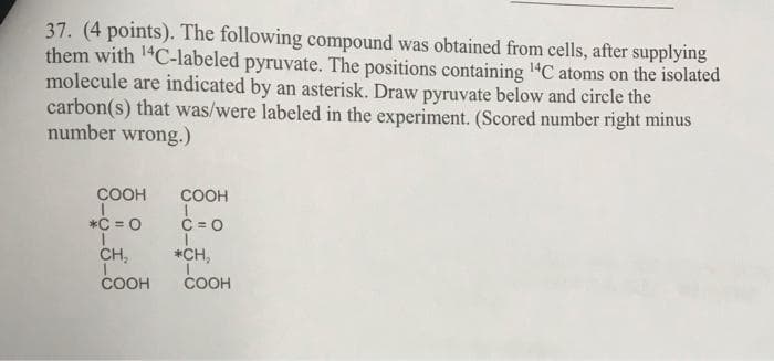 37. (4 points). The following compound was obtained from cells, after supplying
them with 1"C-labeled pyruvate. The positions containing 1"C atoms on the isolated
molecule are indicated by an asterisk. Draw pyruvate below and circle the
carbon(s) that was/were labeled in the experiment. (Scored number right minus
number wrong.)
COOH
COOH
*C = 0
C = 0
CH,
*CH,
COOH
COOH
