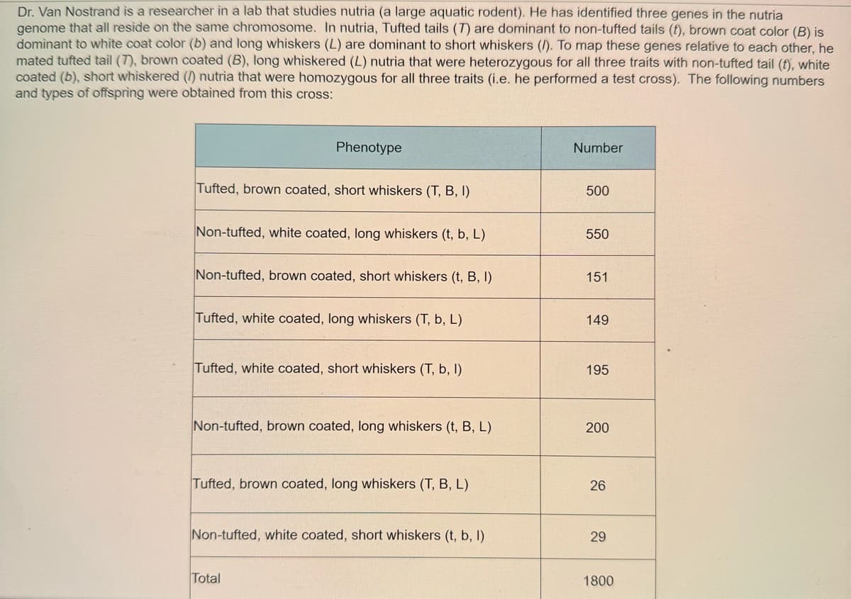 Dr. Van Nostrand is a researcher in a lab that studies nutria (a large aquatic rodent). He has identified three genes in the nutria
genome that all reside on the same chromosome. In nutria, Tufted tails (7) are dominant to non-tufted tails (t), brown coat color (B) is
dominant to white coat color (b) and long whiskers (L) are dominant to short whiskers (/). To map these genes relative to each other, he
mated tufted tail (7), brown coated (B), long whiskered (L) nutria that were heterozygous for all three traits with non-tufted tail (t), white
coated (b), short whiskered (1) nutria that were homozygous for all three traits (i.e. he performed a test cross). The following numbers
and types of offspring were obtained from this cross:
Phenotype
Tufted, brown coated, short whiskers (T, B. I)
Non-tufted, white coated, long whiskers (t, b, L)
Non-tufted, brown coated, short whiskers (t, B, I)
Tufted, white coated, long whiskers (T, b, L)
Tufted, white coated, short whiskers (T,b,I)
Number
500
550
151
149
195
Non-tufted, brown coated, long whiskers (t, B, L)
200
Tufted, brown coated, long whiskers (T, B, L)
26
26
Non-tufted, white coated, short whiskers (t, b, I)
29
29
Total
1800