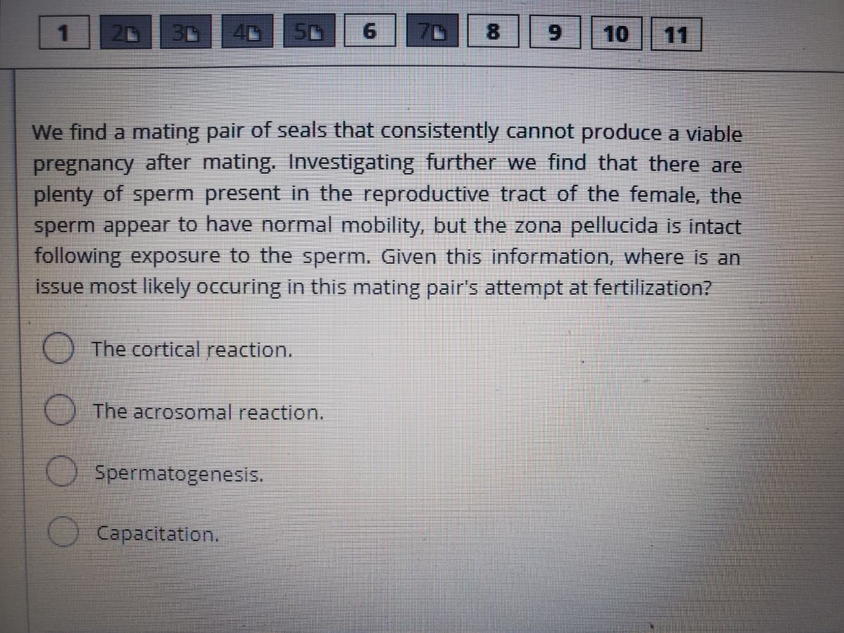 6.
8
10
11
We find a mating pair of seals that consistently cannot produce a viable
pregnancy after mating. Investigating further we find that there are
plenty of sperm present in the reproductive tract of the female, the
sperm appear to have normal mobility, but the zona pellucida is intact
following exposure to the sperm. Given this information, where is an
issue most likely occuring in this mating pair's attempt at fertilization?
The cortical reaction.
) The acrosomal reaction.
O Spermatogenesis.
Capacitation.
9.
O O O
