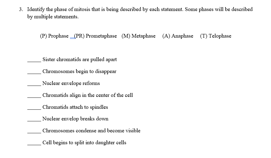 3. Identify the phase of mitosis that is being described by each statement. Some phases will be described
by multiple statements.
(P) Prophase _(PR) Prometaphase (M) Metaphase (A) Anaphase (T) Telophase
Sister chromatids are pulled apart
Chromosomes begin to disappear
Nuclear envelope reforms
Chromatids align in the center of the cell
Chromatids attach to spindles
Nuclear envelop breaks down
Chromosomes condense and become visible
Cell begins to split into daughter cells
