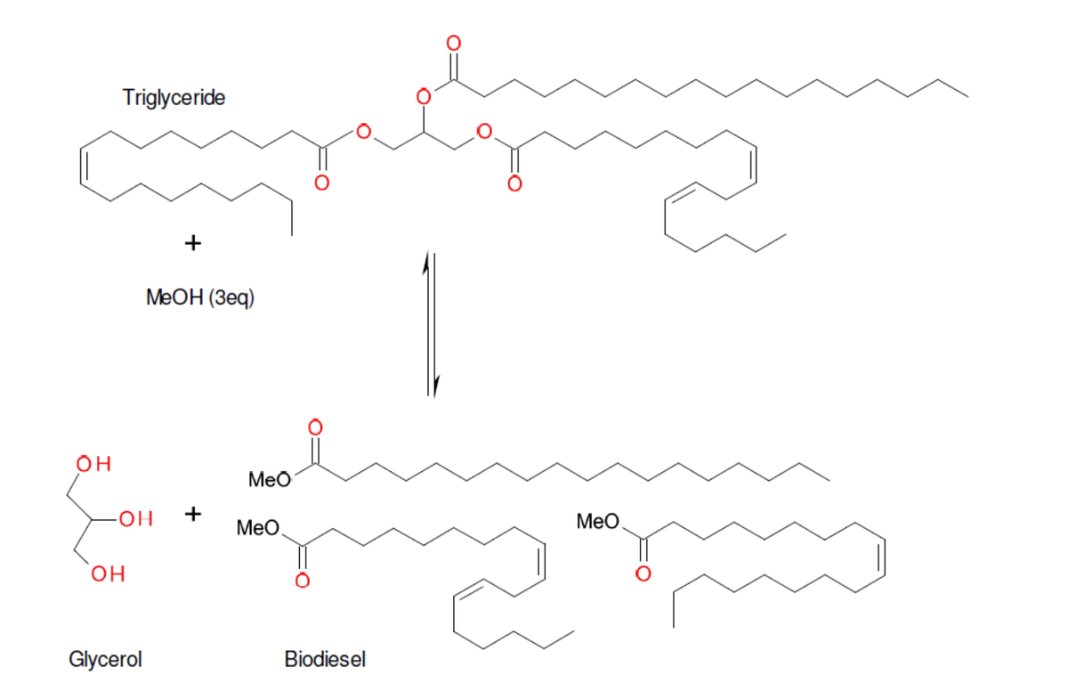 OH
Triglyceride
ОН
+
-OH +
Glycerol
MeOH (3eq)
MeO
MeO
Biodiesel
MeO