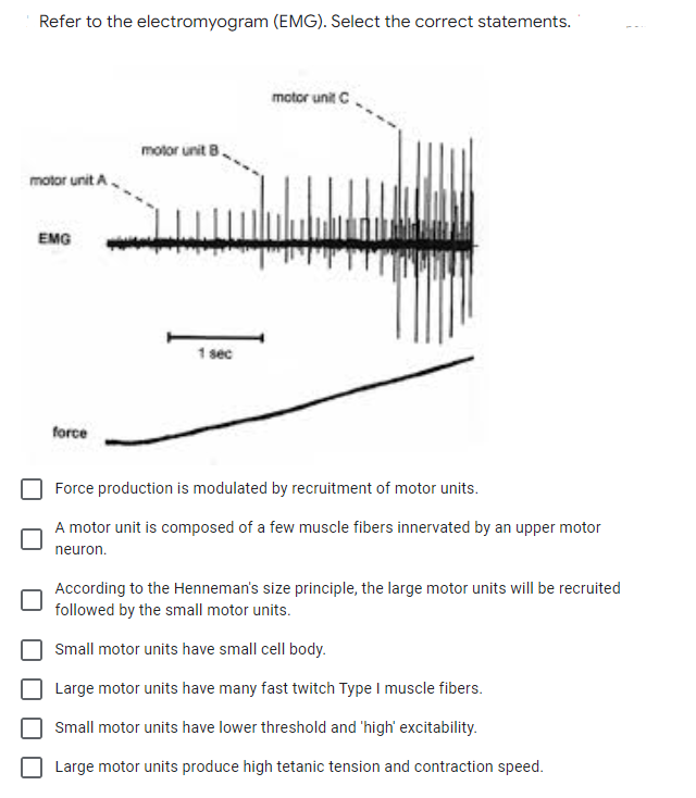 Refer to the electromyogram (EMG). Select the correct statements.
motor unit C
motor unit
motor unit A.
EMG
1 sec
force
Force production is modulated by recruitment of motor units.
A motor unit is composed of a few muscle fibers innervated by an upper motor
neuron.
According to the Henneman's size principle, the large motor units will be recruited
followed by the small motor units.
Small motor units have small cell body.
Large motor units have many fast twitch Type I muscle fibers.
Small motor units have lower threshold and 'high' excitability.
Large motor units produce high tetanic tension and contraction speed.
